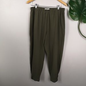 Aritzia Babaton dexter pants
